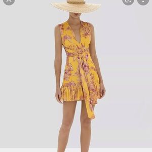 ALEXIS Cassara Mini Dress